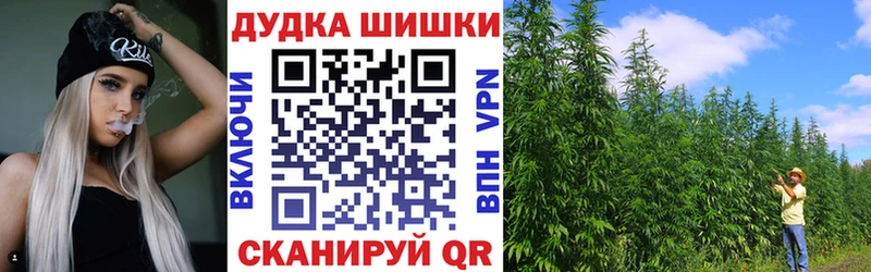 Купить закладку Галлюциногенные грибы  МЕФ  ГАШИШ  Коркино